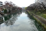 京の川.jpg